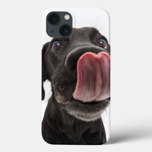 Black Labrador Licking Its Nose Case-Mate iPhone Case (Back)