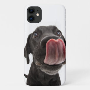 Black Labrador Licking Its Nose iPhone 11 Case