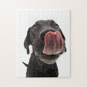 Black Labrador Licking Its Nose Jigsaw Puzzle