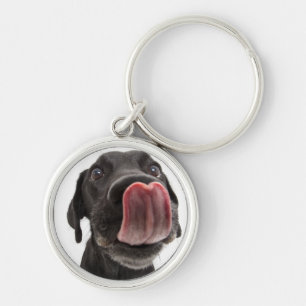 Black Labrador Licking Its Nose Keychain