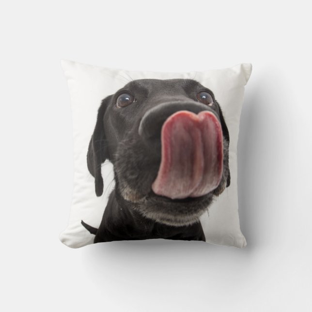 Black Labrador Licking Its Nose Throw Pillow (Front)