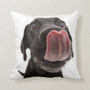 Black Labrador Licking Its Nose Throw Pillow