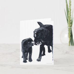 Black Labrador Love - Carte de Noël