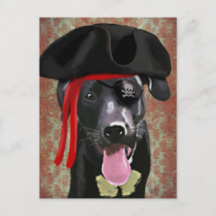 Black Labrador Pirate Dog Postcard