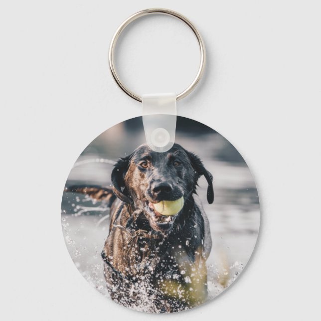 Black Labrador Plays Fetch In Water Keychain (Front)