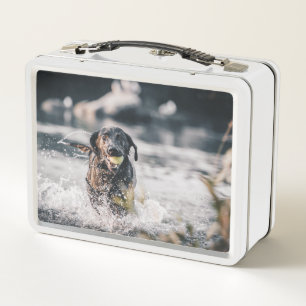 Black Labrador Plays Fetch In Water Metal Lunch Box