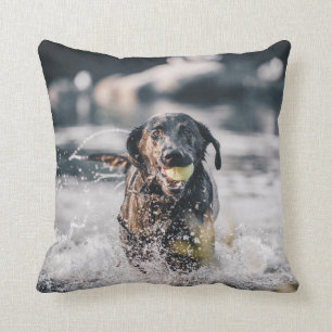 Black Labrador Plays Fetch In Water Throw Pillow