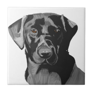 Black Labrador Portrait  Tile
