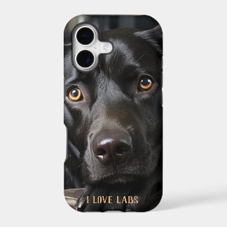Black Labrador puppy