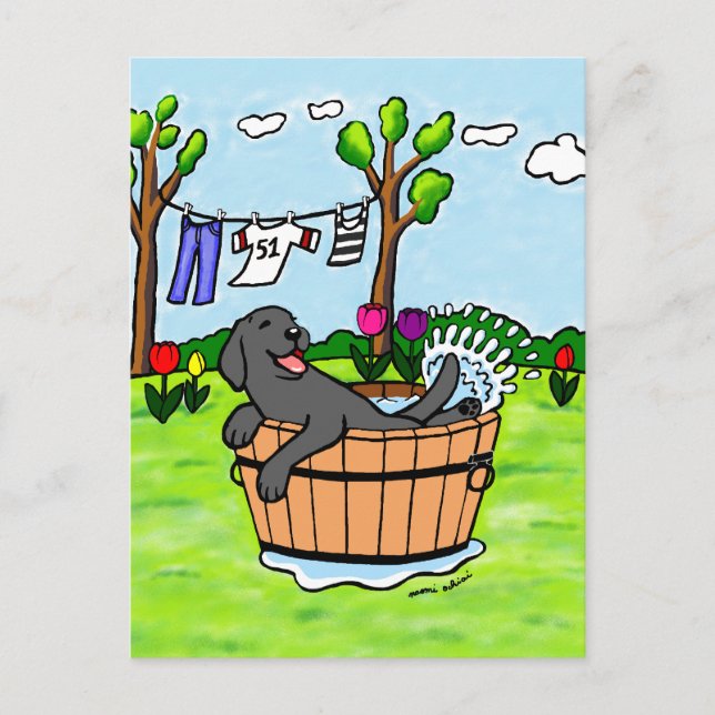 Black Labrador Puppy Pool Cartoon Postcard (Front)