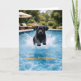 Black Labrador Puppy Pool Plunge | Cute Summer Card