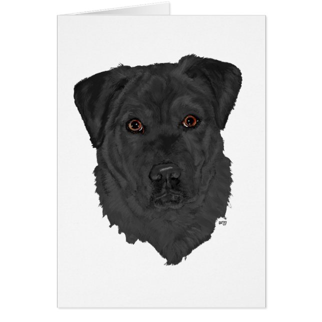 Black Labrador Retriever (Front)