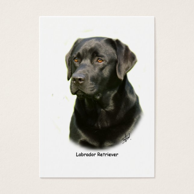 Black Labrador Retriever (Front)