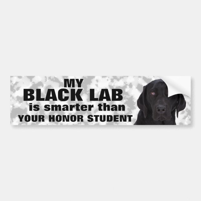 Black Labrador Retriever Bumper Sticker (Front)