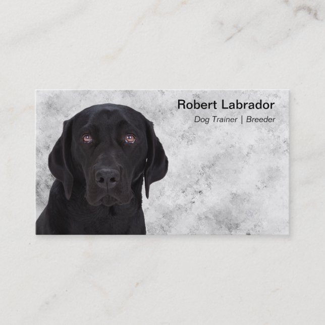 Black Labrador Retriever Business Card (Front)