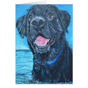 Black Labrador Retriever Card
