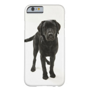 Black labrador retriever barely there iPhone 6 case