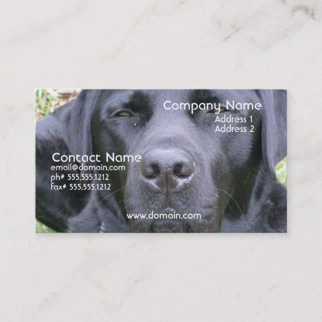 Black Labrador Retriever Dog Business Card (Front)