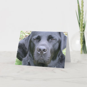 Black Labrador Retriever Dog Greeting Card