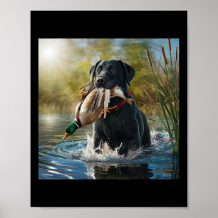 Black Labrador Retriever Dog Hunting Ducks In A Po Poster