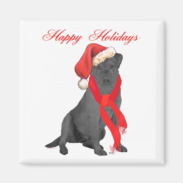 Black Labrador Retriever Holiday Greetings Magnet (Front)