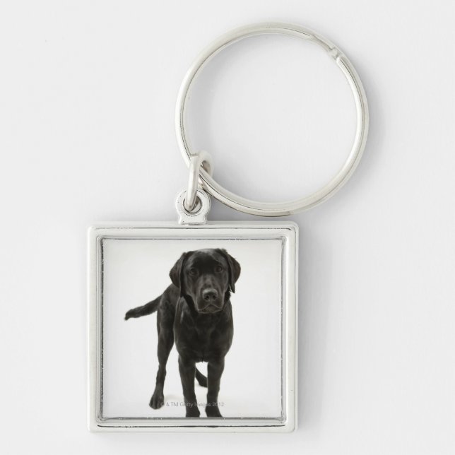 Black labrador retriever keychain (Front)