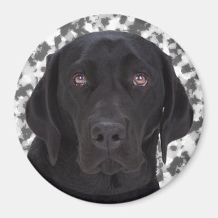 Black Labrador Retriever Magnet