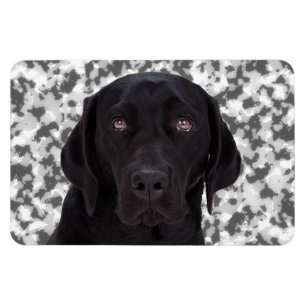 Black Labrador Retriever Magnet