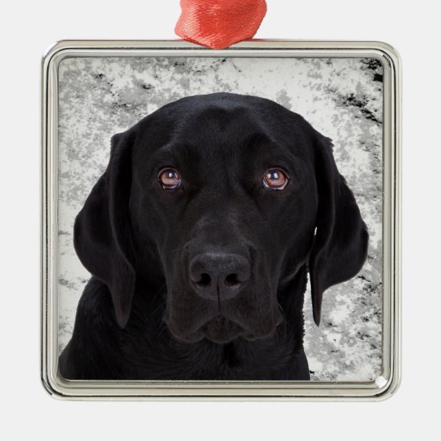 Black Labrador Retriever Metal Ornament (Front)