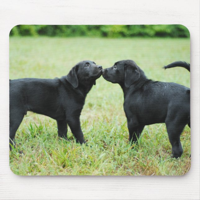 Black Labrador Retriever Mouse Pad (Front)