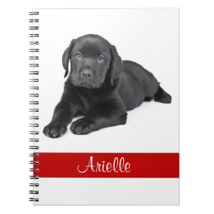 Black Labrador Retriever Personalized Notebook