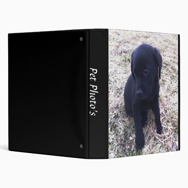 Black Labrador Retriever Pet Photo Album Binder (Background)