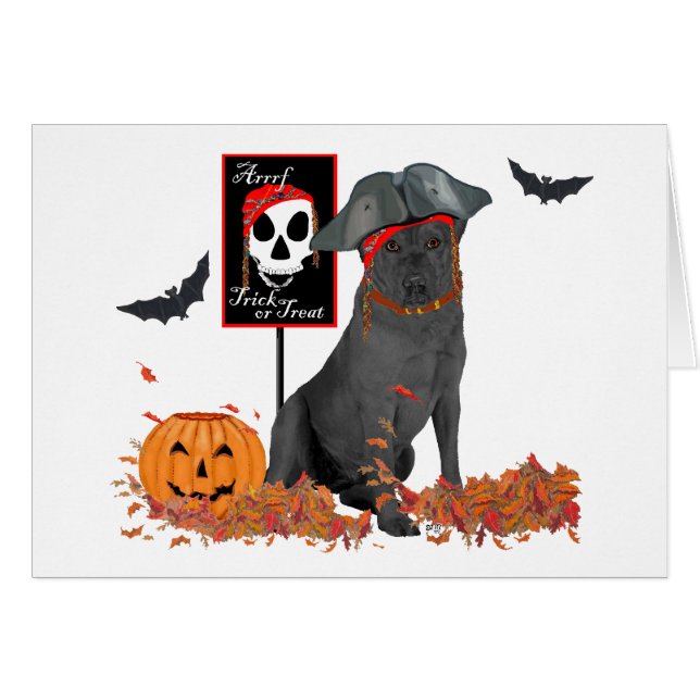 Black Labrador Retriever Pirate (Front Horizontal)