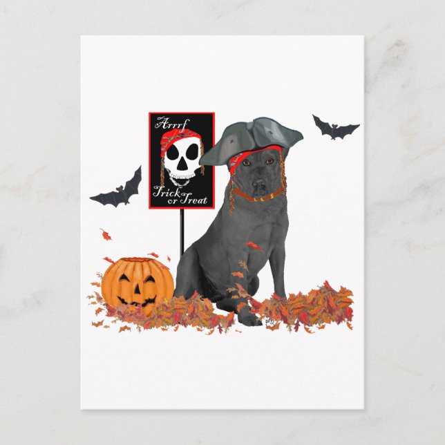 Black Labrador Retriever Pirate Postcard (Front)