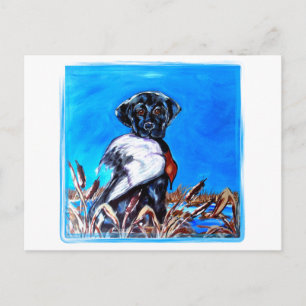 BLACK LABRADOR RETRIEVER POSTCARD