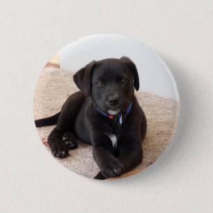 Black Labrador Retriever Puppy 2 Inch Round Button