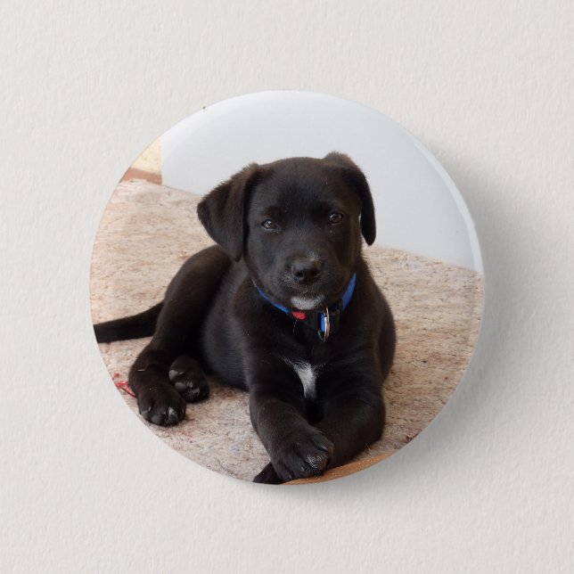 Black Labrador Retriever Puppy 2 Inch Round Button (Front)