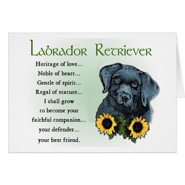 Black Labrador Retriever Puppy Cadeaux (Devant horizontal)