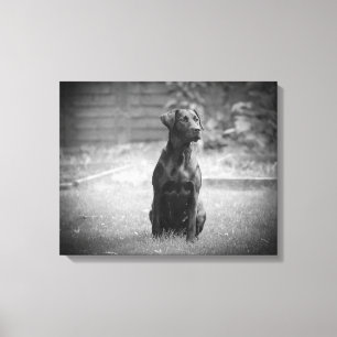Black Labrador Retriever Puppy Canvas Print