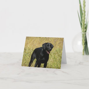 Black Labrador Retriever Puppy Dog Blank Note Card