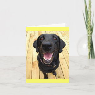 Black Labrador Retriever Puppy  Dog Blank Notecard
