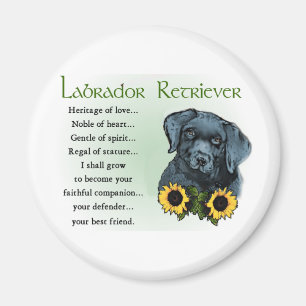 Black Labrador Retriever Puppy Gifts Magnet