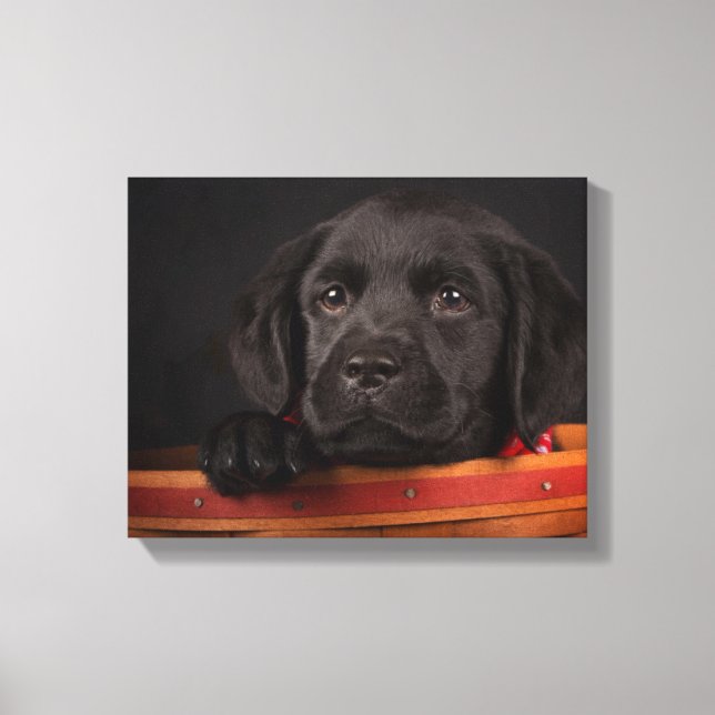 Black labrador retriever puppy in a basket canvas print (Front)