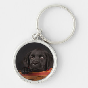 Black labrador retriever puppy in a basket keychain