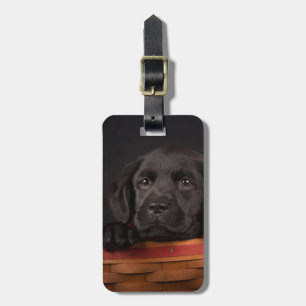Black labrador retriever puppy in a basket luggage tag