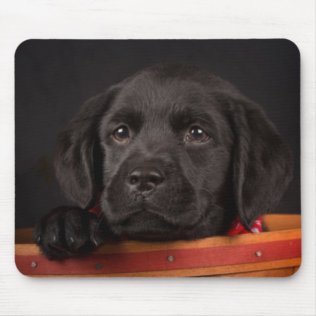 Black labrador retriever puppy in a basket mouse pad (Front)