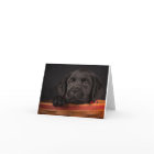 Black labrador retriever puppy in a basket