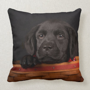 Black labrador retriever puppy in a basket throw pillow