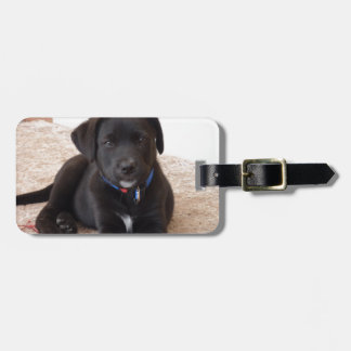 Black Labrador Retriever Puppy Luggage Tag