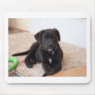 Black Labrador Retriever Puppy Mouse Pad